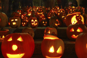 Tags: halloween halloween pumpkin halloween pumpkin designs halloween ...