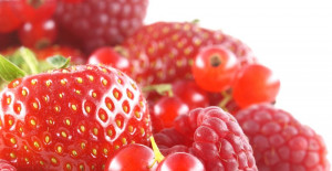 Carbon Dioxide Extraction