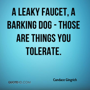 Leaky Faucet, A Barking Dog - Those Are Things You Tolerate.