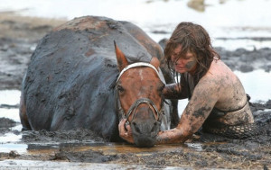 Heartbreaking’: Horse Stuck in ‘Quicksand-Like Mud’ for Three ...