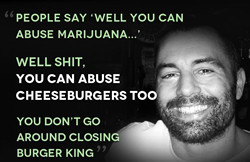 Joe Rogan on Marijuana Prohibition