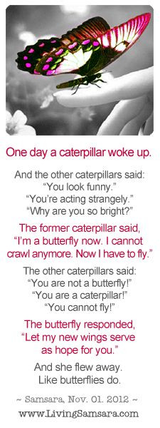 ... wakes up. #transformation #butterfly #spiritual -growth #recovery More