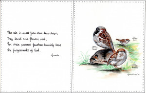 sparrows-and-poem-web.jpg