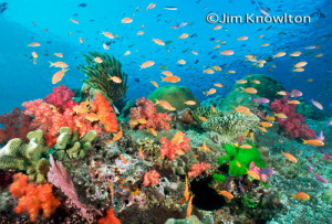 Funny Quotes Contact Us DMCA Notice