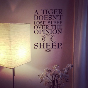 tiger doesn't lose sleep over the opinion of sheep