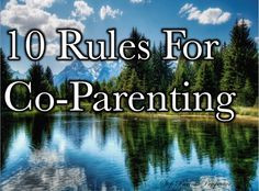 10 Co Parenting rules: Step-Mom