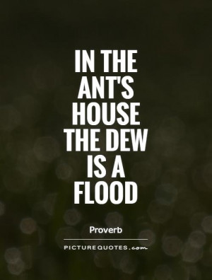 In the ant's house the dew is a flood Picture Quote #1