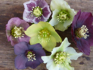 Leave a Reply Cancel reply