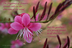 ... Empire. His notable works include Arthashastra and Chanakya Niti