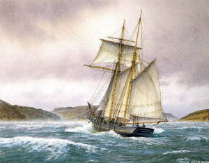 Your Own Sea Quotes & Ship Quotes