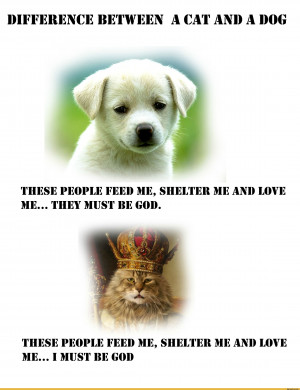 ... ) LOVE ME... I MUST RE 00,funny pictures,auto,god,cats,dog,difference