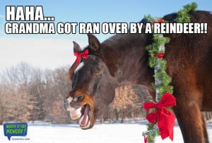 Christmas-horse-MEME