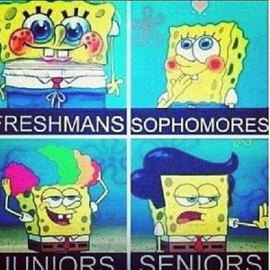 Spongebob Freshmen Sophomores Juniors Seniors Funny Tumblr Picture