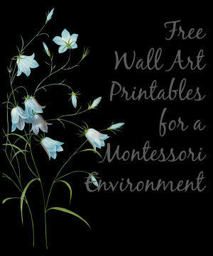Free Wall Art Printables for a Montessori Environment.
