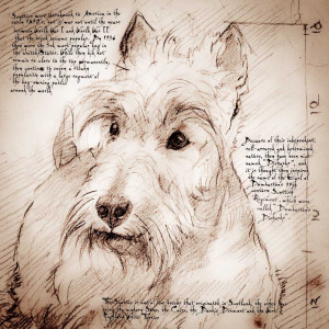 ... scottish terrier christmas fun scottie dog custom greeting cards
