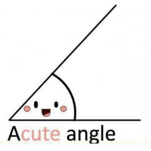acute angle cute math joke small