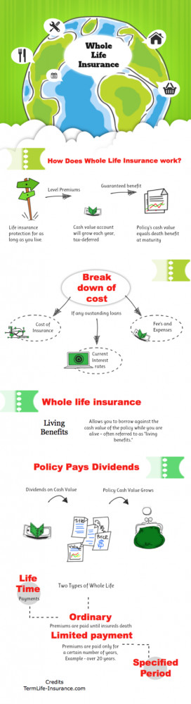 life quotes life insurance