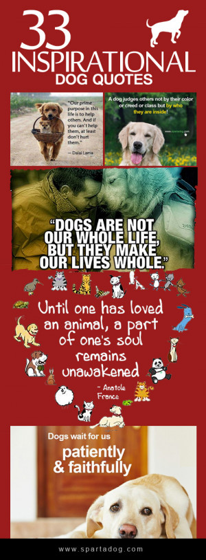 the special dogs in your life with these inspirational dog quotes ...