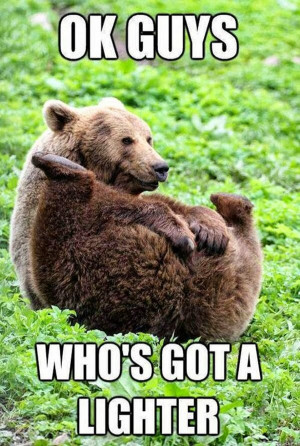 Funny animal captions - part 16 (30 pics), animal pics with captions ...