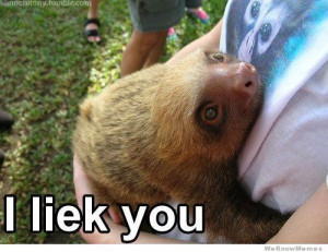 30 Greatest Sloth Memes, Gifs, And Comics