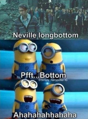 Top 30 Best Funny Minions Quotes and Pictures
