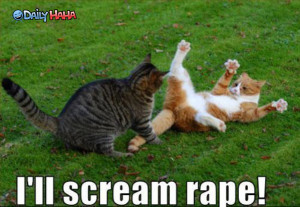 http://s1.static.gotsmile.net/images/2010/10/07/ill_scream_rape_lolcat ...