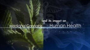 medicinal-cannabis-and-its-impact-on-human-health.jpg