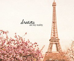 paris paris paris paris