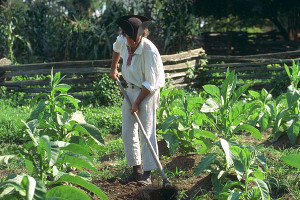 Great Hopes Plantation | Tour The Revolutionary City | Colonial ...