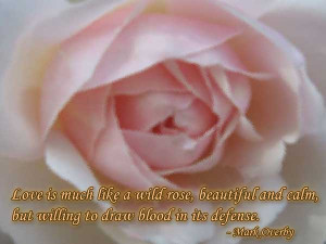 Being In Love Image Quotes And Sayings