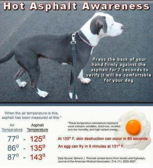 Pavement temps. This is SO IMPORTANT!! Multi Pin. PLEASE RePIN!!
