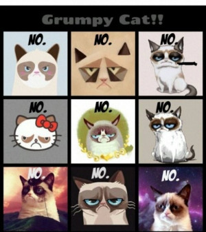 Grumpy Cat Family