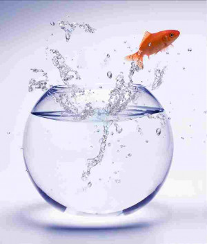 Out Of My Mind Sharon Draper Out of my mind by: sharon