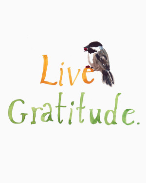 Live Gratitude.