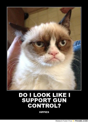 Grumpy Cat Gun Control