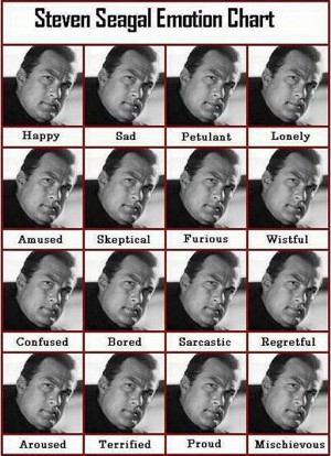 range of spellbinding emotion behold the steven seagal emotion chart