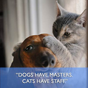 24 Inspirational Health Quotes