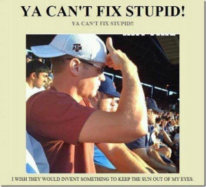 You Cant Fix Stupid Quotes. QuotesGram