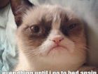 Grumpy Cat Quote of The Day - Grumpy Cat Picture