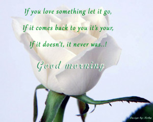 for forums: [url=http://www.tumblr18.com/white-rose-morning-love-quote ...