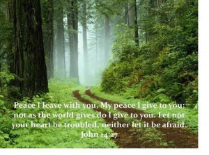 Bible quotes wise sayings peace