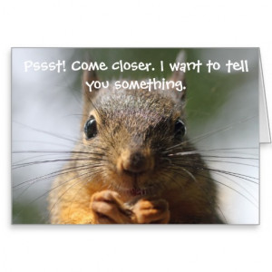 Funny Squirrel Birthday Card