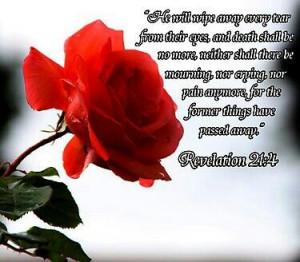 Pinned by Tina Connor