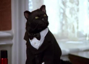 Salem dressed for Sabrina's wedding.