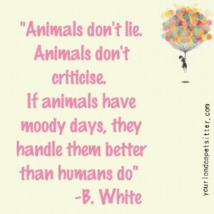 YOUR LONDON PET SITTER