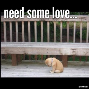 NGONOO Quote Need Some Love