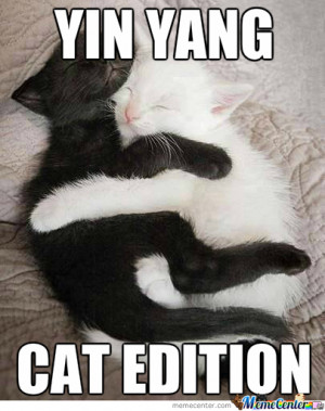 Yin Yang Kitteh Style