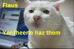 Hate Begets Hate Bible Quote