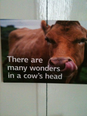 Talent develops in tranquillity, character in the full current of ...