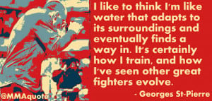 ... Obstacles Quotes Famous People Georges st-pierre (gsp) quotes